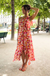 Robe l'Angélique Arlequin