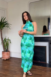 video image