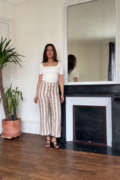video image