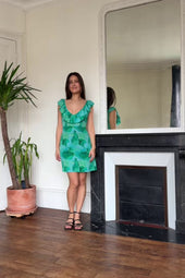 video image