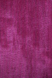 Pantalon Idéaliste en velours Camélia - Soi Paris